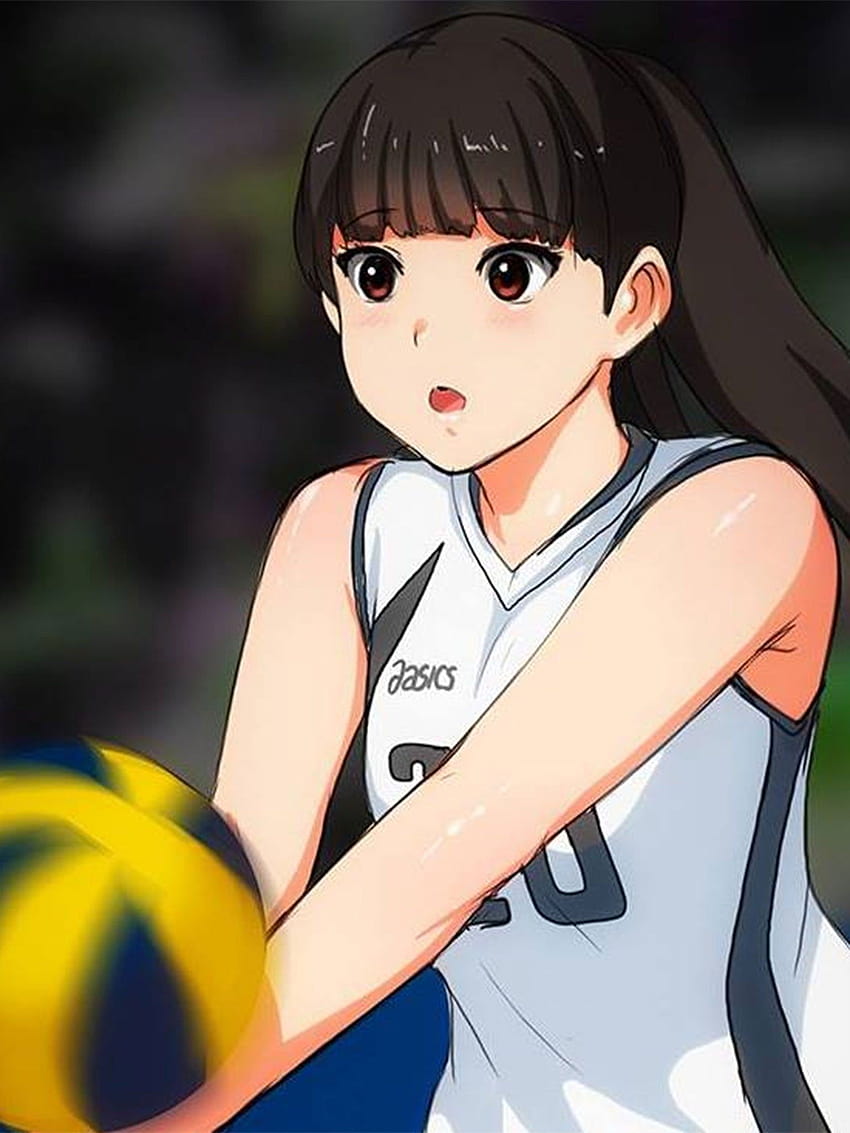 Anime Volleyball HD phone wallpaper | Pxfuel