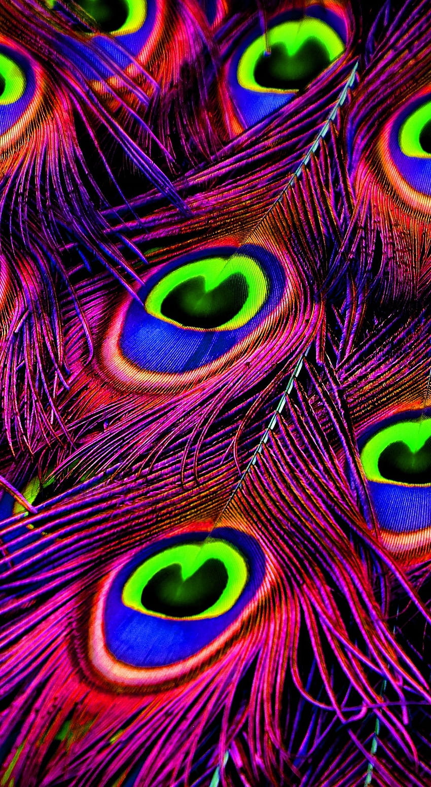 Feather, plumage, peacock, 1440x2630, peacock android phone HD phone wallpaper