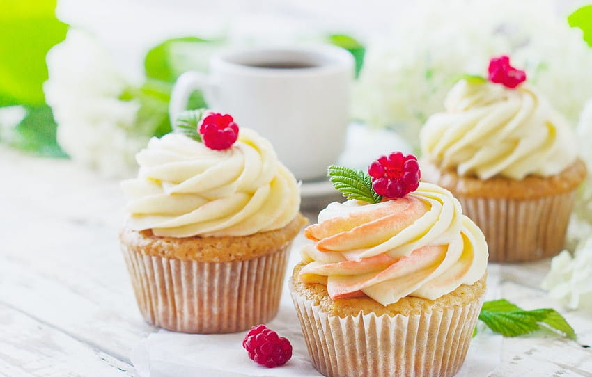 raspberry, cake, cream, cupcakes, vanilla, Aksana Yasiuchenia , section еда, cakes and cupcakes HD wallpaper