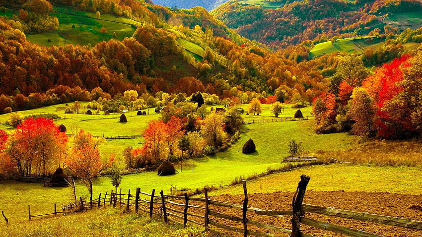 Montan De Toamna, есен в провинцията HD тапет