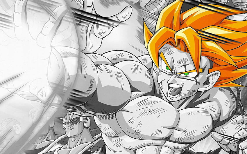 Dragon Ball Z Goku Kamehameha, sangoku HD wallpaper