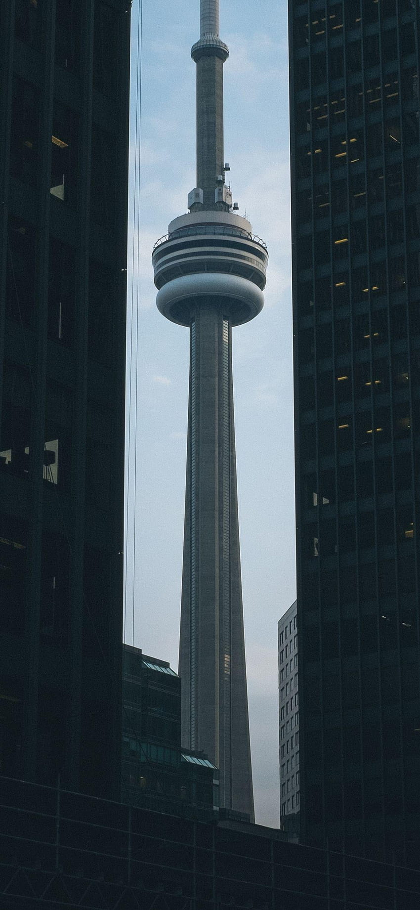 Hecho por el hombre/Torre CN, torre fondo de pantalla del teléfono