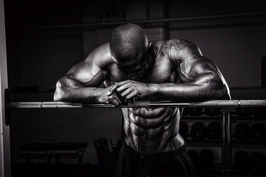 Músculos, Pose, Branco e Preto, Fisiculturista • Para você, logo fisiculturista papel de parede HD