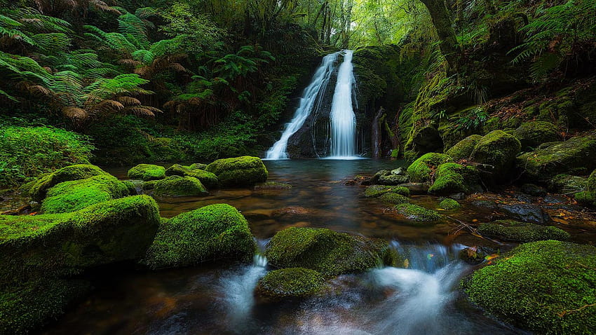 Park Narodowy Nowej Anglii Australia Lasy deszczowe Wodospad Skały Mech Zielone lasy Drzewo папрат Ultra Waterfall 1920x1200 : 13, rainforest ultra Tapeta HD