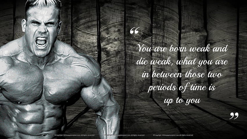 Gym ·① beautiful, bodybuilding gym HD wallpaper | Pxfuel
