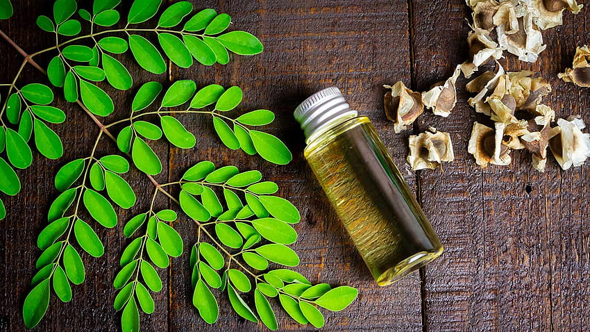 6 Möglichkeiten, die gesunde Moringa-Pflanze in Ihren Mahlzeiten zu verwenden HD-Hintergrundbild