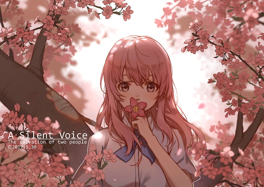 Koe No Katachi A Silent Voice Hd Wallpaper Pxfuel 