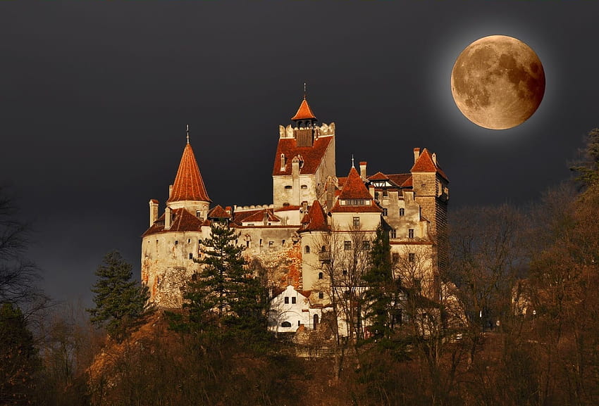 Bran Castle Dracula, kastil vampir Wallpaper HD