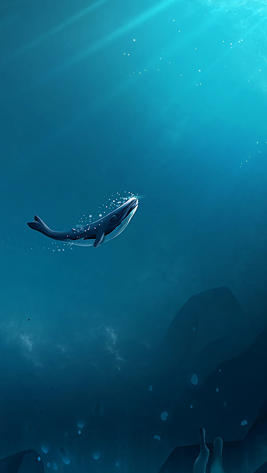 Wieloryb w oceanie ID:4575 Tapeta na telefon HD
