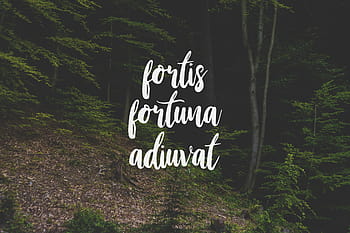 Fortis Fortuna Adiuvat - fortune favours the brave - fortune favours the  bold - John Wick tattoo quote