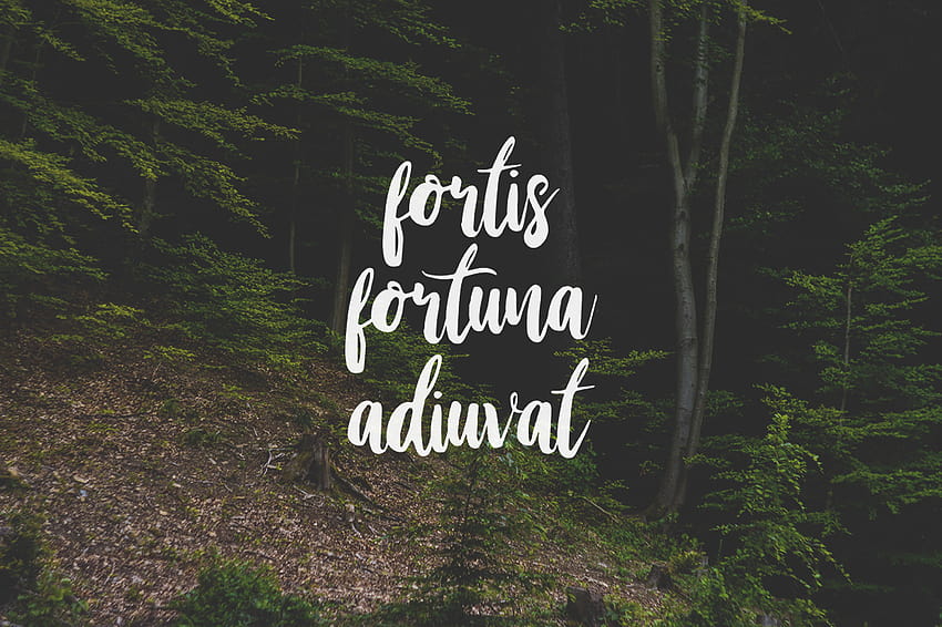 Fortis fortuna adiuvat HD wallpapers | Pxfuel