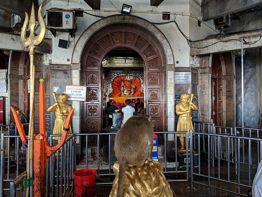 Templos hindúes de la India: Templo Saptashrungi, Vani – El Templo fondo de pantalla