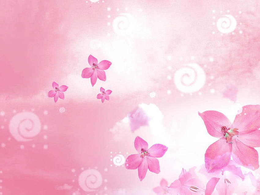 Beautiful flowers backgrounds for powerpoint HD wallpapers | Pxfuel