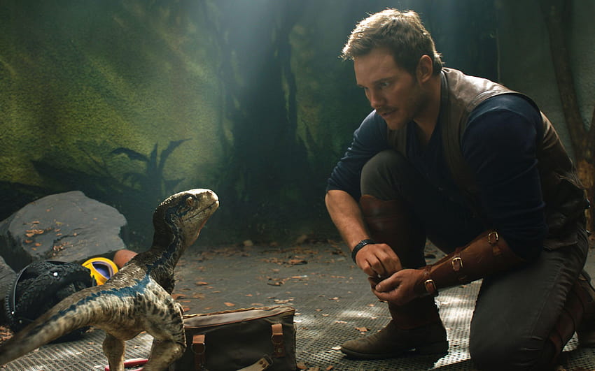 3840x2400 Chris Pratt Dan Little Raptor Jurassic World Jatuh, raptor jurassik park Wallpaper HD