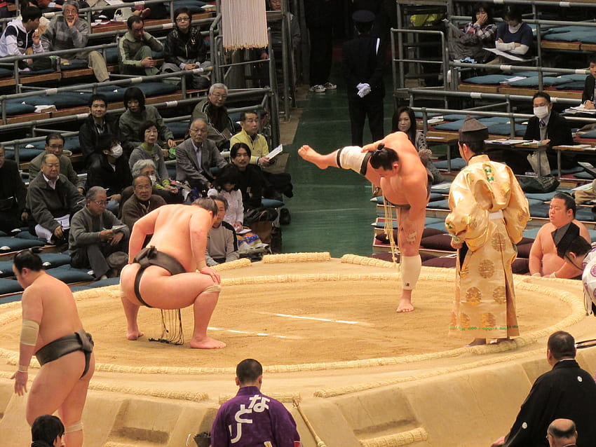 Sumo Wrestler High Quality, sumo wrestlers HD wallpaper