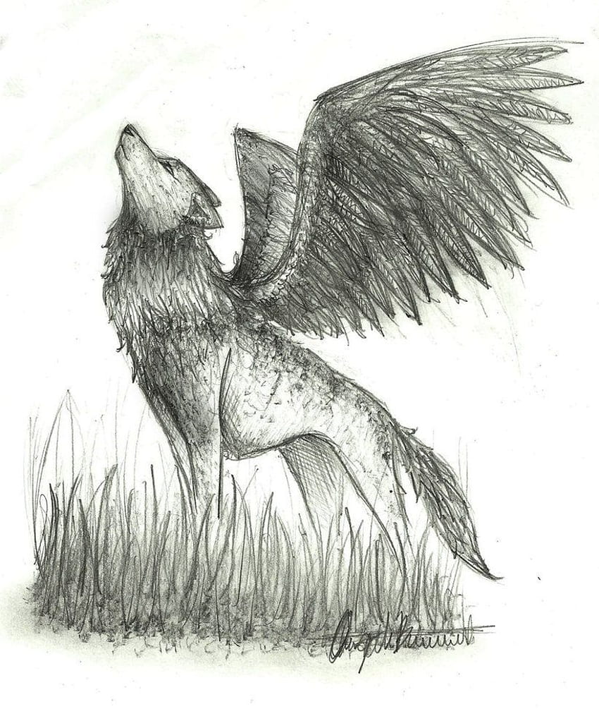 Sketch Winged Wolf, wolf pencil drawings HD phone wallpaper