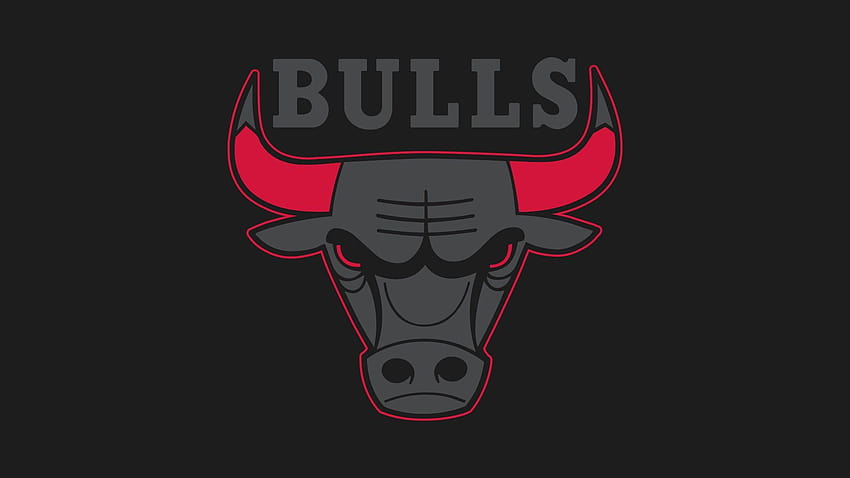 47 units of Chicago Bulls, under amour handy HD wallpaper