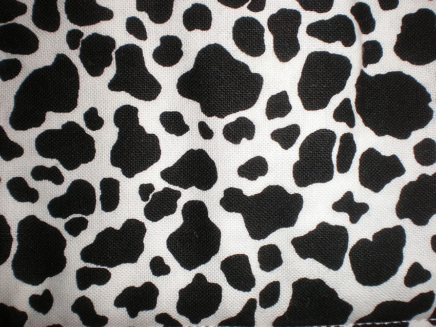 Cow Print Becuo [1600x1200] for your , Mobile & Tablet HD wallpaper ...