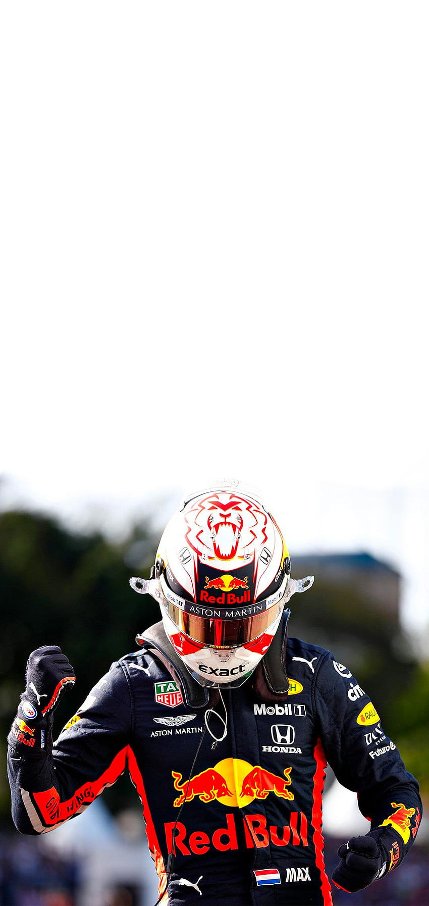 Max Verstappen después de su victoria en Brasil [1080x2280] : formula1, max verstappen iphone fondo de pantalla del teléfono