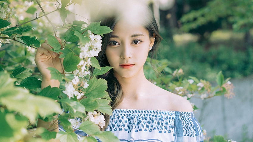 Tzuyu Twice Beautiful Girl HD wallpaper