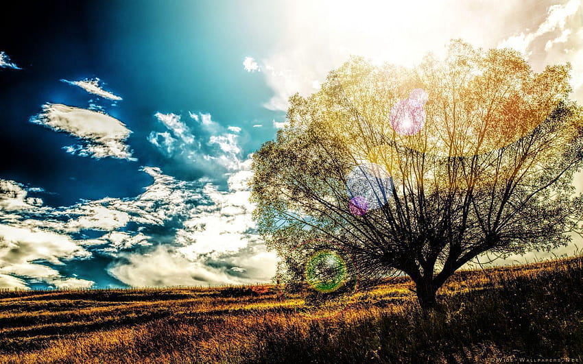 Cây trơ trọi: Một cây trơ trọi trên đồng cỏ vắng vẻ khiến bạn cảm thấy như đang tìm kiếm sự yên bình và một chút cô đơn trong cuộc sống. Hãy xem hình ảnh cây trơ trọi để tìm kiếm sự thanh tịnh và cảm nhận được vẻ đẹp đơn giản nhưng không kém phần tuyệt vời của tự nhiên.