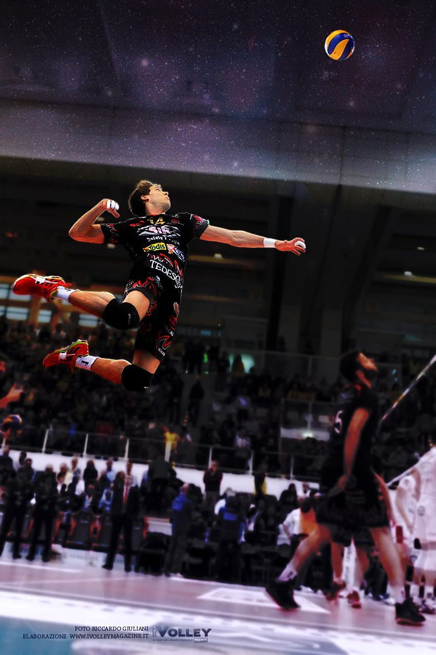 carlotta, voleibol do japão Papel de parede de celular HD