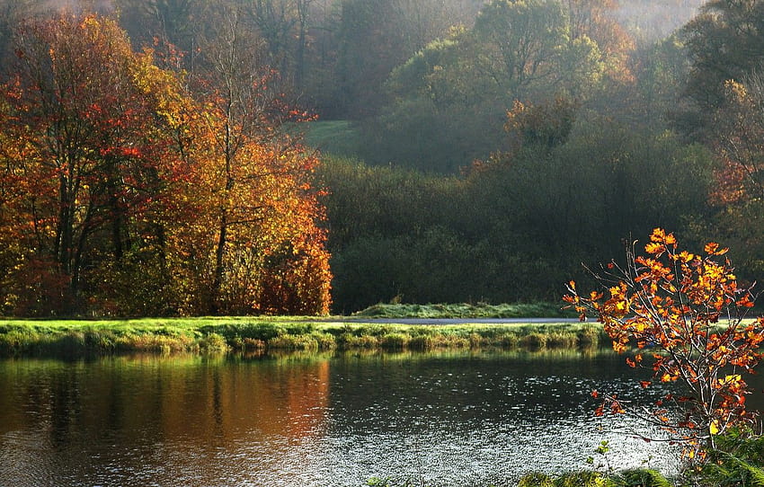 autumn, landscape, France, Normandy, nature, france, autumn, landscape, normandie, fall , section пейзажи, france autumn HD wallpaper