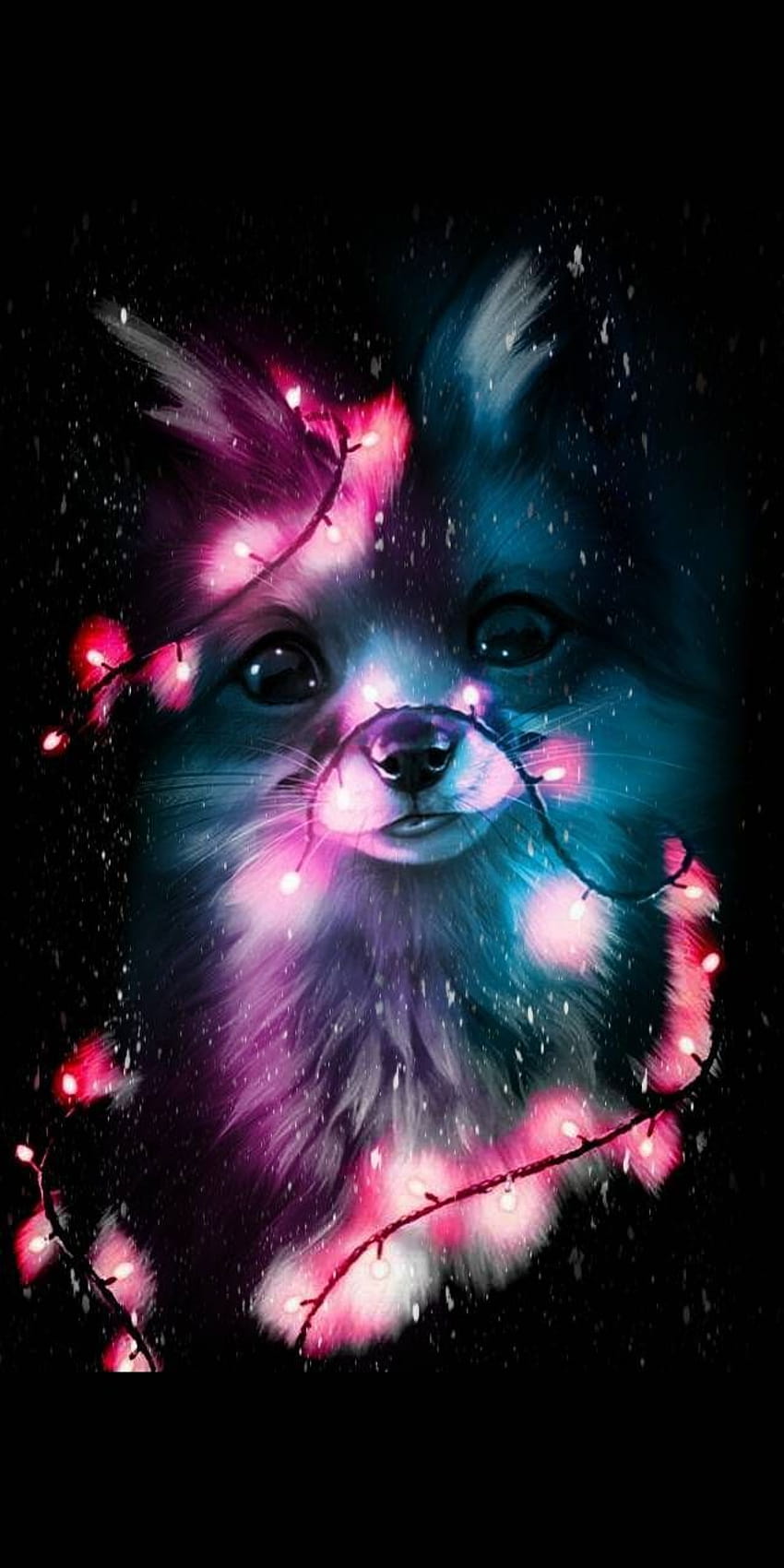 Neon lights fox, neon pets HD phone wallpaper