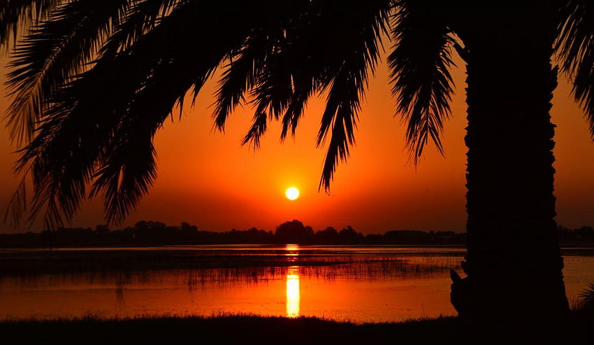 Backlit calm clear sky dawn dusk golden hour idyllic nature, golden sunset reflection HD wallpaper