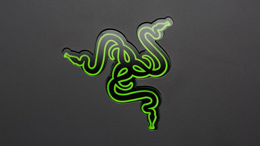 Razer Gamepad 8, razer snakes HD wallpaper