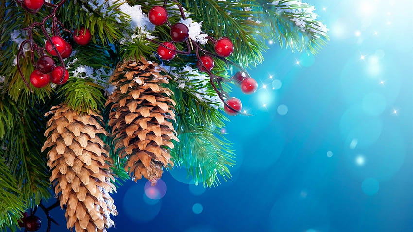 Нова година Коледна елха Украса Сняг Клонки Горски плодове 1920x1080 Цветни фонове с висока разделителна способност 1920x1080 HD тапет