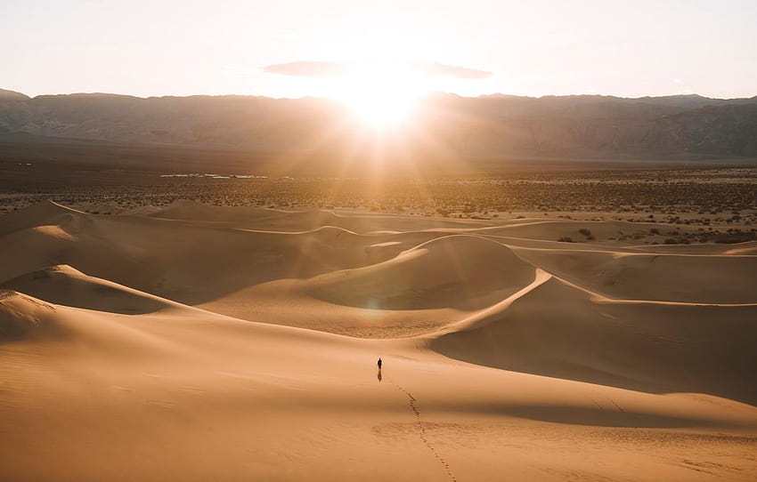 USA, desert, sunset, mountains, landscapes, sun, desert dunes walking HD wallpaper