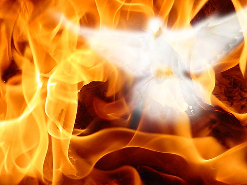 Duch Święty i Ogień – mądrzejszy od Salomona, duch ognia Tapeta HD