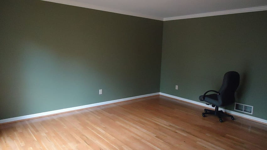 빈 사무실 배경 거대한 녹색 빈 방 HD 월페이퍼
