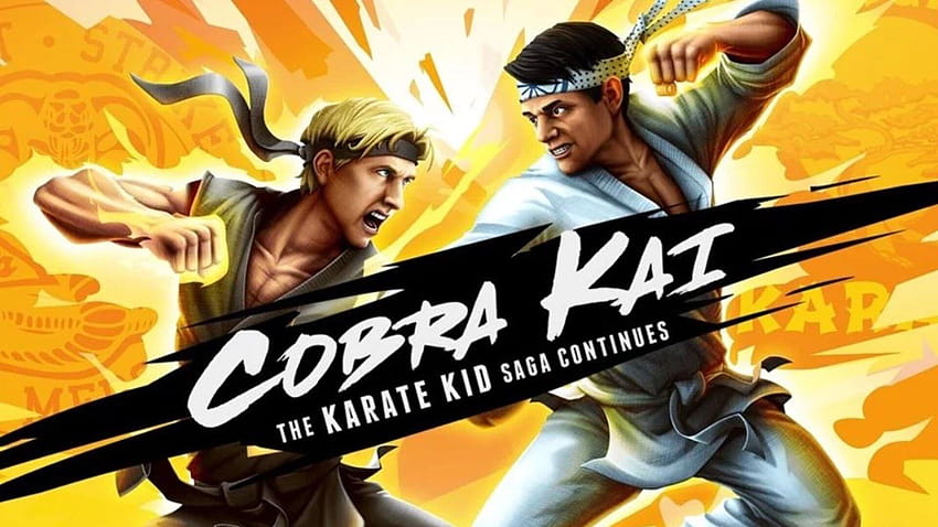 Cobra Kai: The Karate Kid Saga Continues Video Game Coming to PlayStation 4, Xbox One & Nintendo Switch, miyagi do karate HD wallpaper