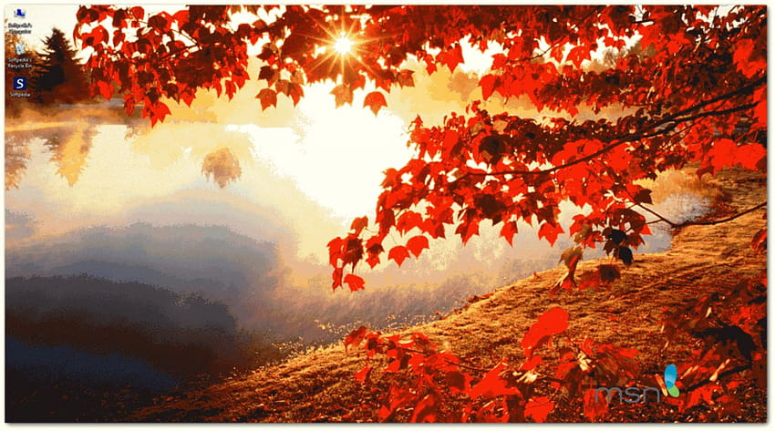 Msn And Screensaver Pack Autumn, autumn windows 10 HD wallpaper