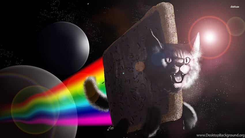 Nyan Cat Flying Away From The Planet Meme ... Backgrounds, flying cat HD wallpaper