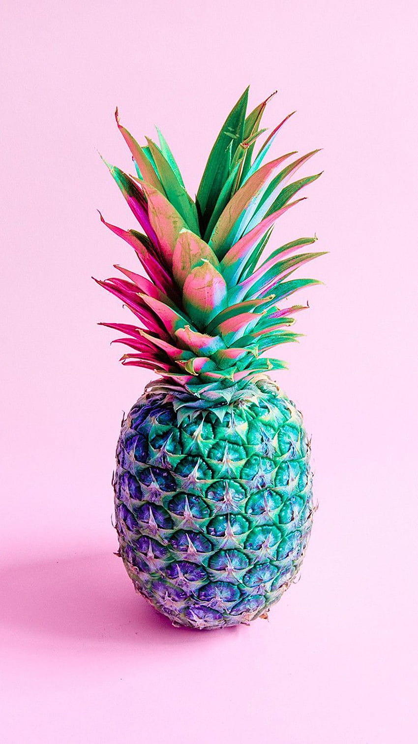 Tumblr Pineapple on Dog, pineapple summer aesthetic HD phone wallpaper