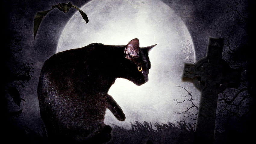 fantasy, Dark, Cats, Black, Cat, Fantasy, Art, Digital, Art, Cemetery, Edgar, Allan, Poe, Bats, The, Black, Cat, Tombs / and Mobile Backgrounds, dark cat HD wallpaper