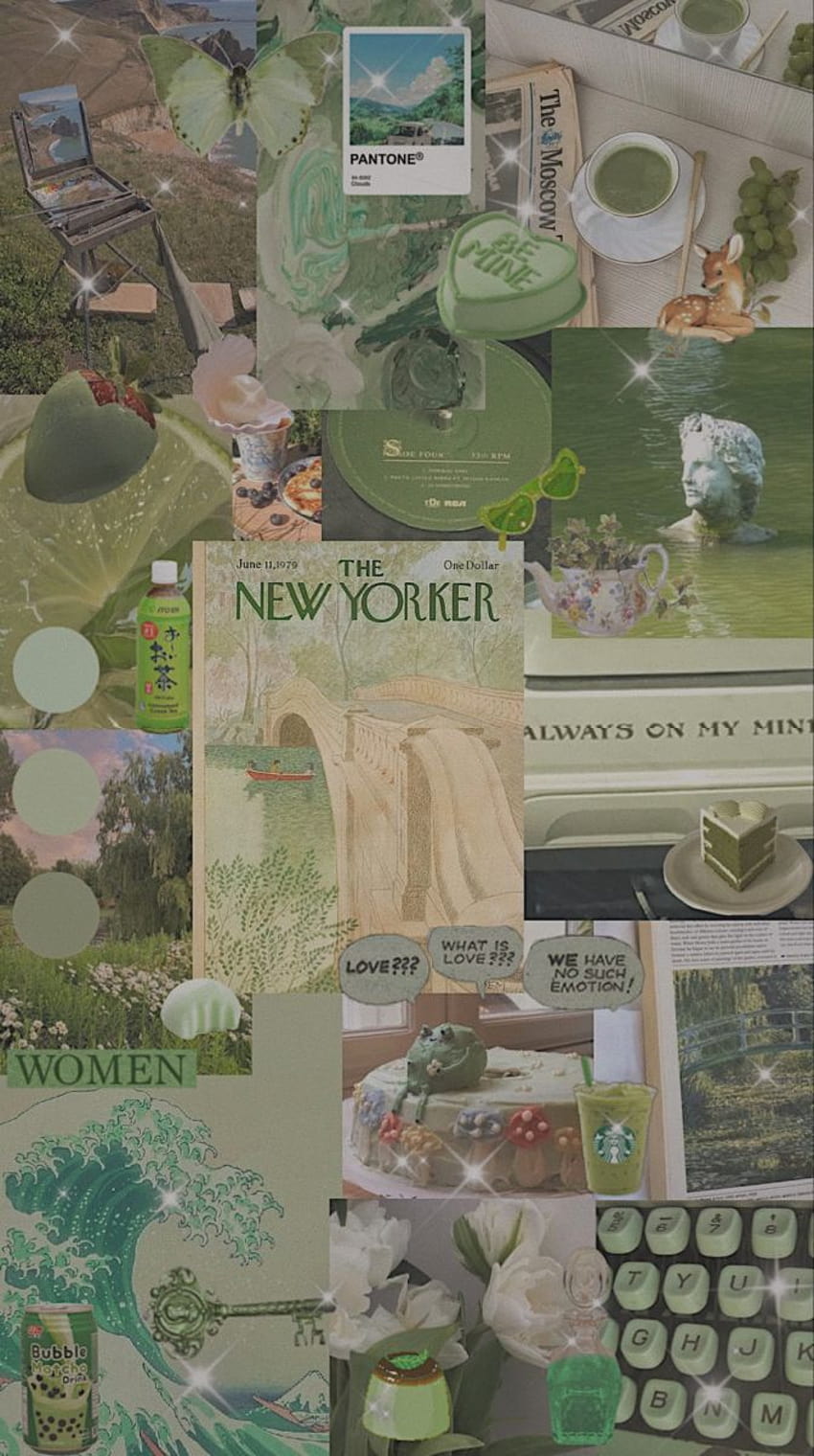 Download Sage Green Laptop Collage Display Wallpaper  Wallpaperscom