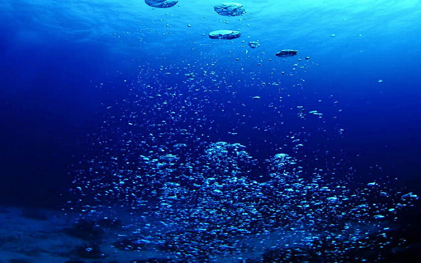 Deep Blue Sea Backgrounds Jabłko, głęboko pod wodą Tapeta HD
