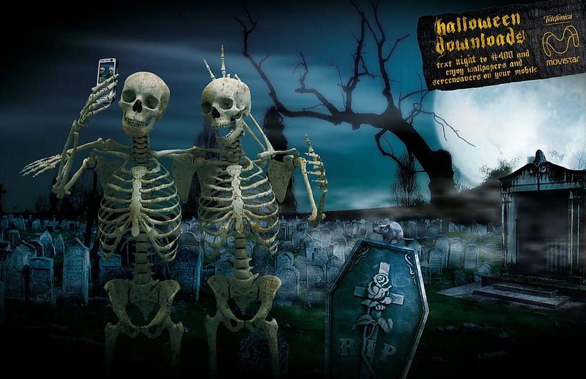 Halloween Skeleton, horror skeleton HD wallpaper