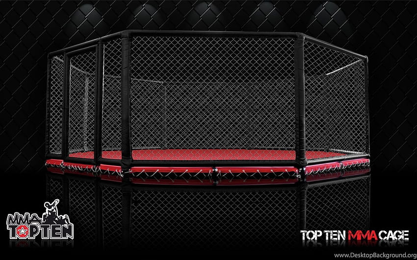 Top Ufc Cage For Pinterest Backgrounds HD wallpaper