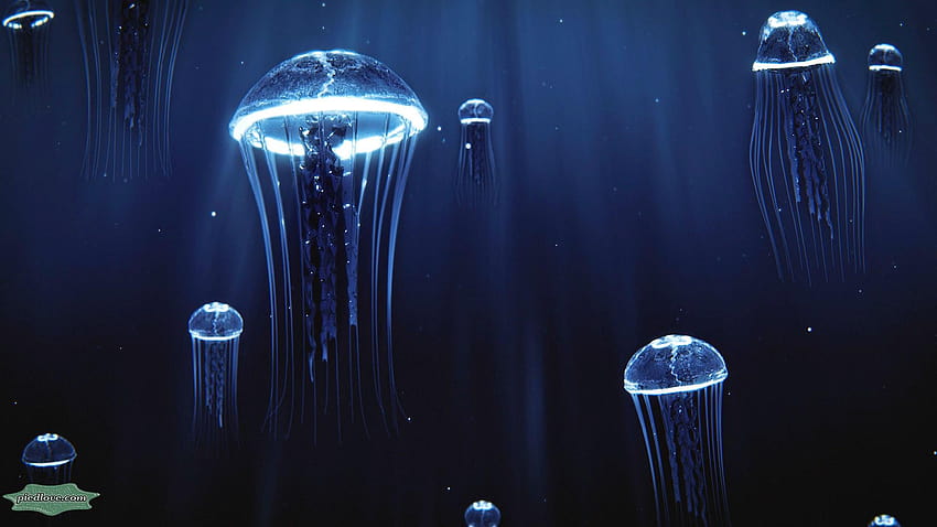 Deep Sea Jellyfish Light, et arrière-plans, sous l'eau profonde Fond d'écran HD