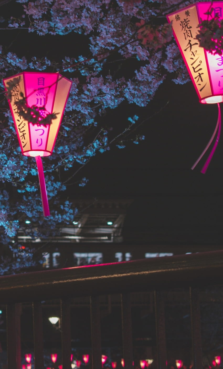 1280x2120 일본 밤 벚꽃 나무 랜턴 빛나는 밤 아이폰, 배경, 그리고, 일본 밤 거리 아이폰 HD 전화 배경 화면
