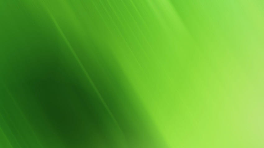 Green , Green High Quality, background hijau high resolution HD wallpaper
