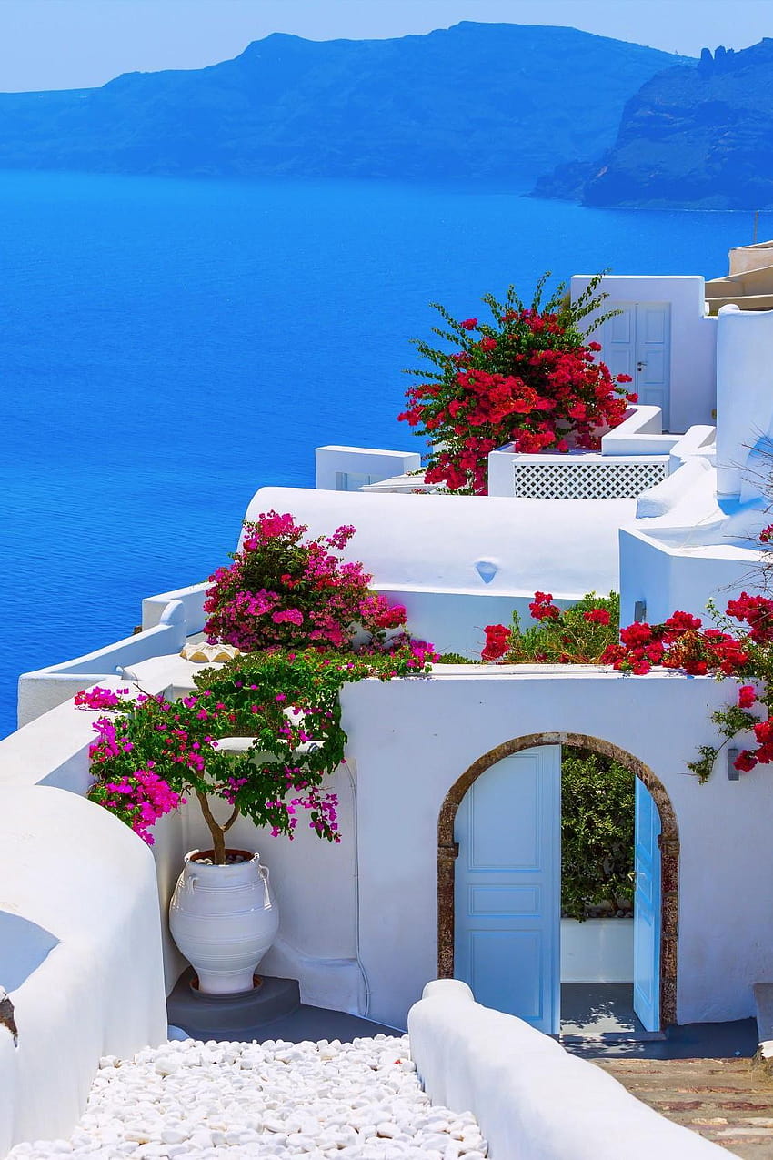 grecia santorini casa blanca flores mar, santorini grecia fondo de pantalla del teléfono