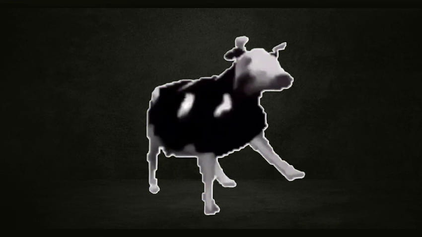 ポーランドの牛のアニメーション 高画質の壁紙