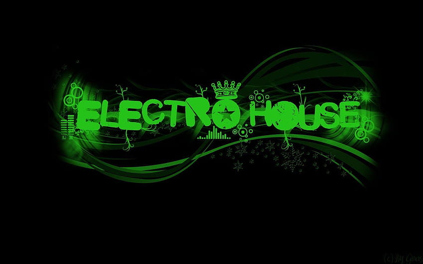 1440x900 Electro House , music and dance HD wallpaper