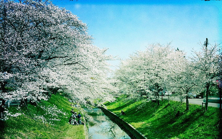 Iga River, Spring, river in spring HD wallpaper